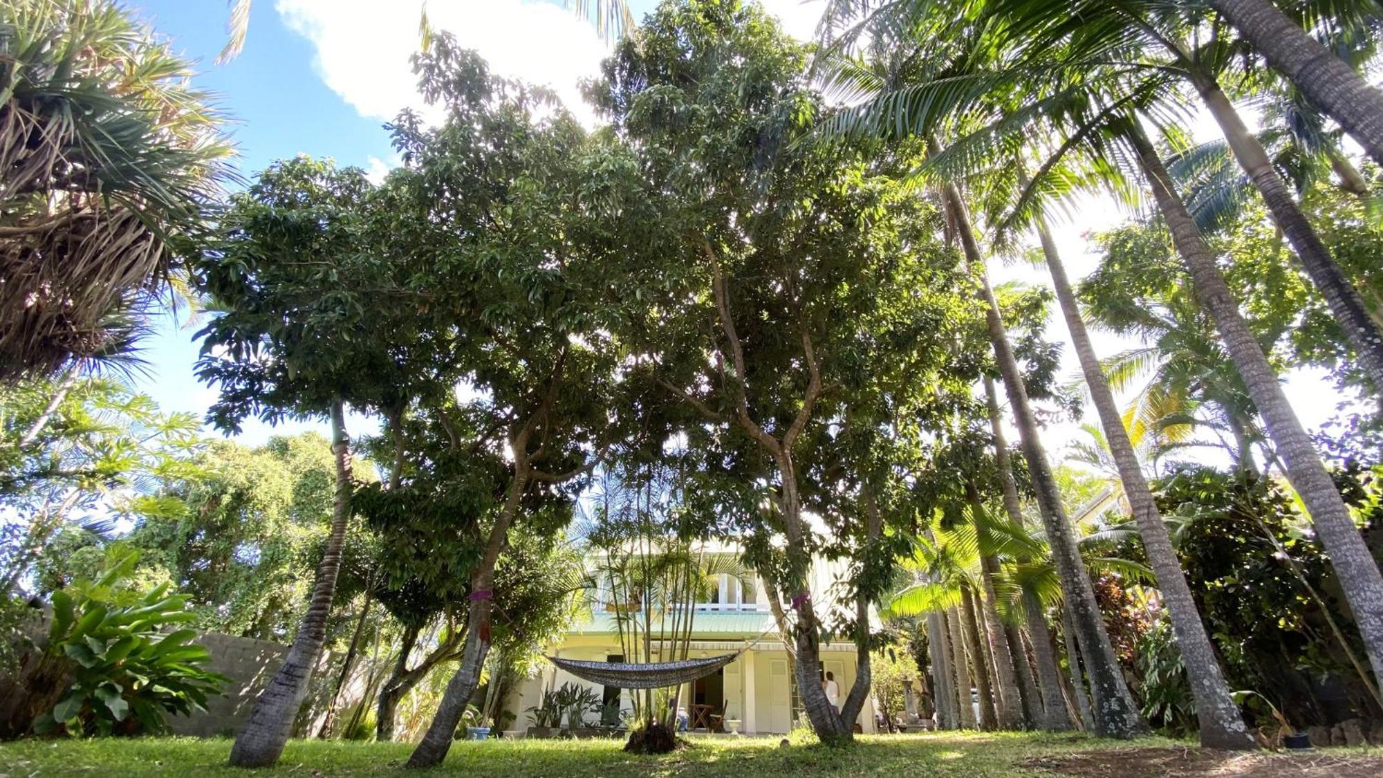 Coliver - Coliving A La Reunion Saint Pierre Ngoại thất bức ảnh