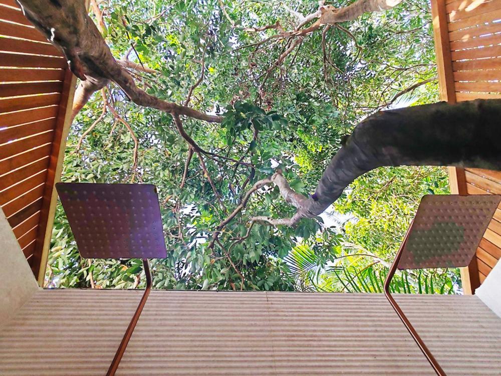 Coliver - Coliving A La Reunion Saint Pierre Ngoại thất bức ảnh
