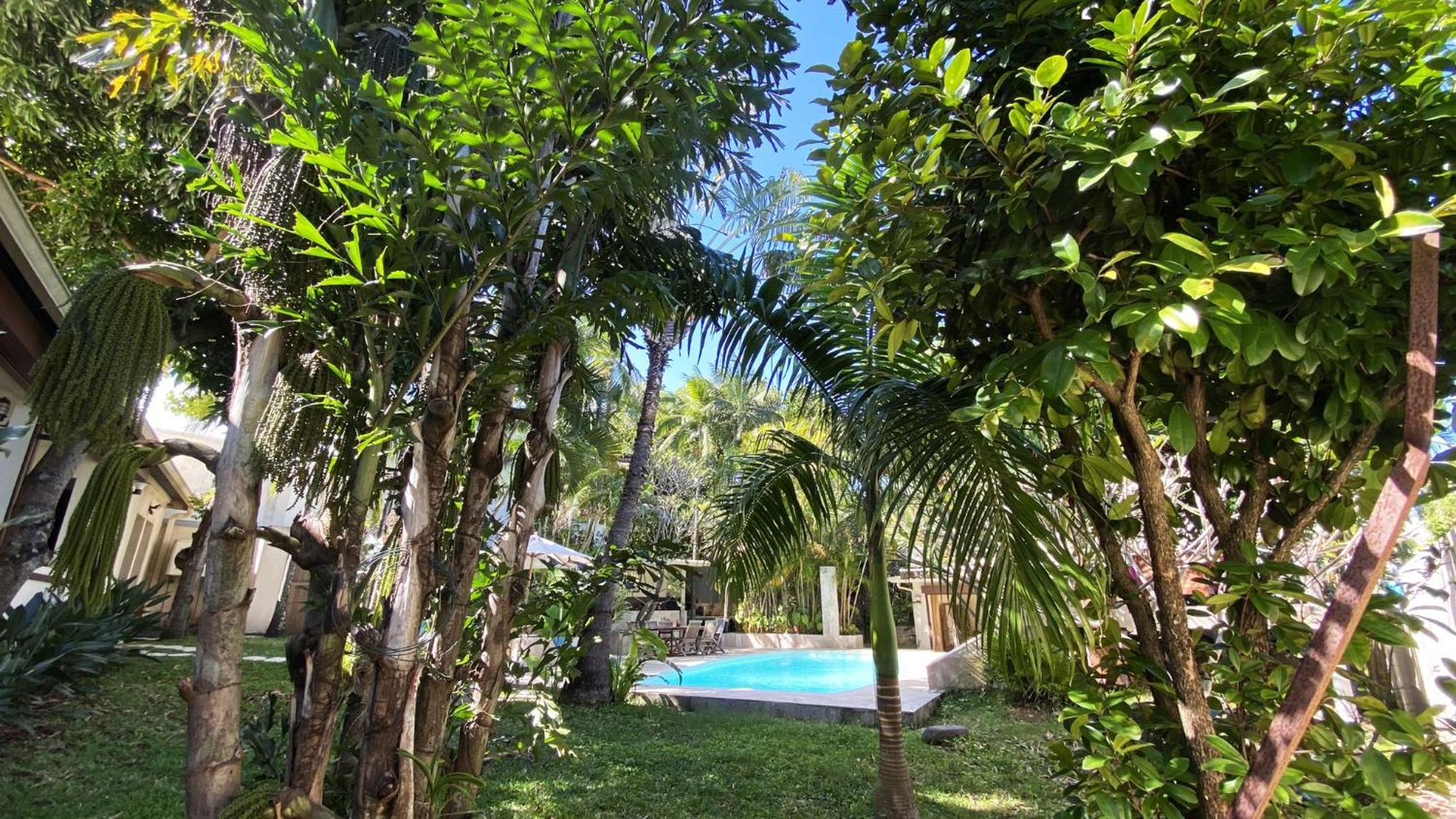 Coliver - Coliving A La Reunion Saint Pierre Ngoại thất bức ảnh