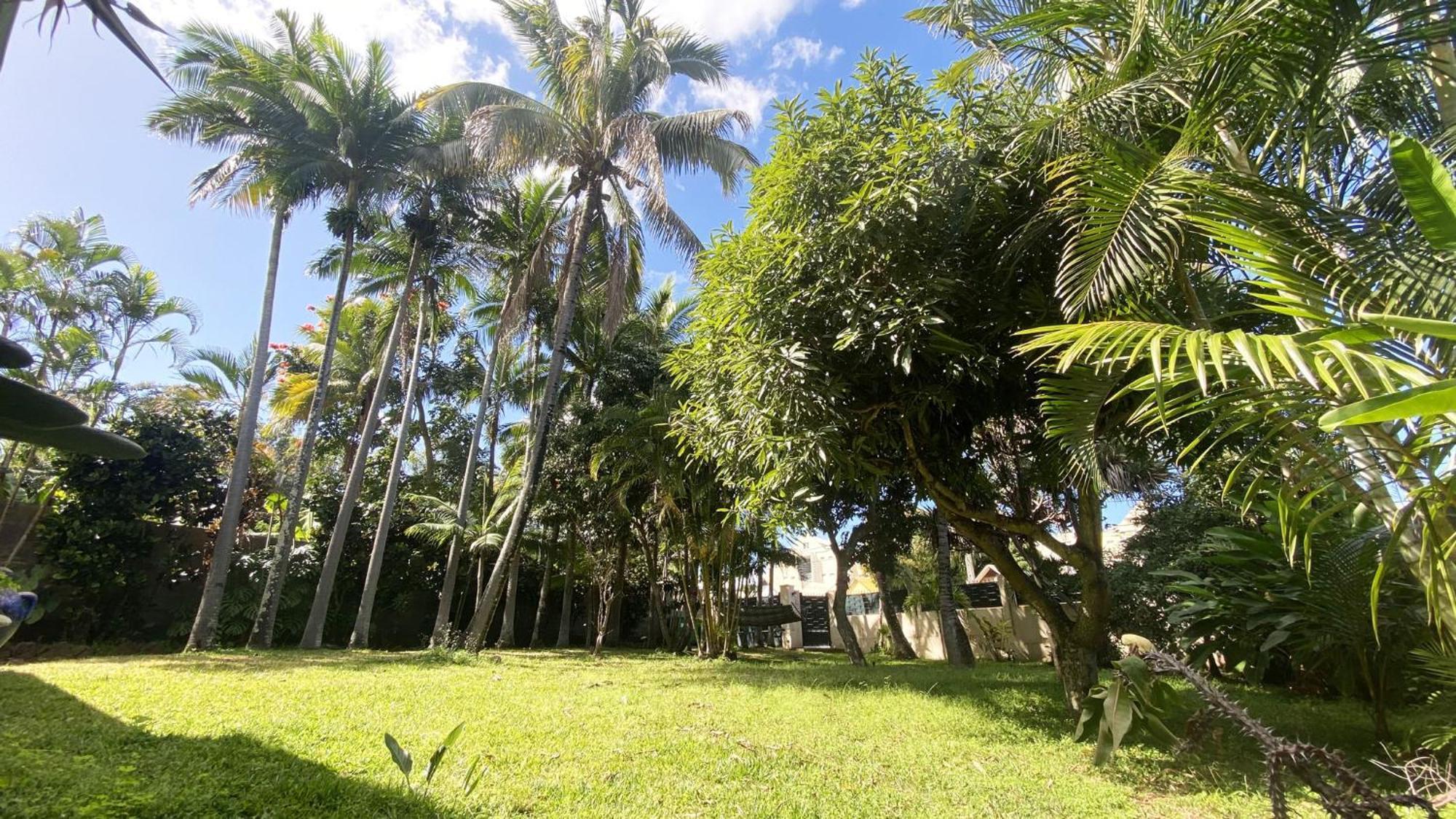 Coliver - Coliving A La Reunion Saint Pierre Ngoại thất bức ảnh