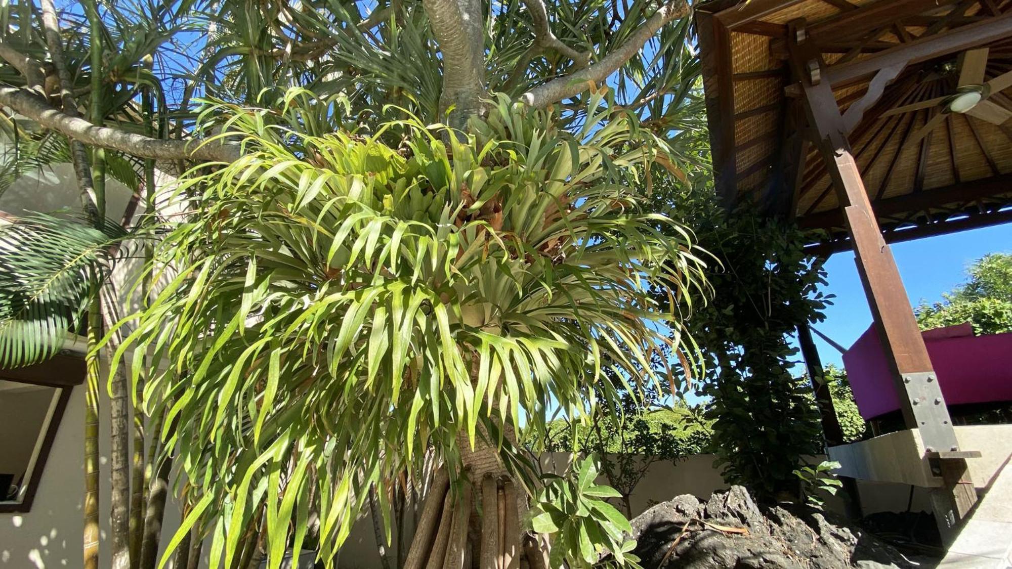Coliver - Coliving A La Reunion Saint Pierre Ngoại thất bức ảnh