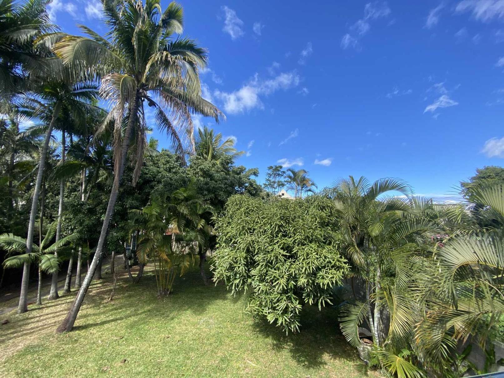 Coliver - Coliving A La Reunion Saint Pierre Ngoại thất bức ảnh