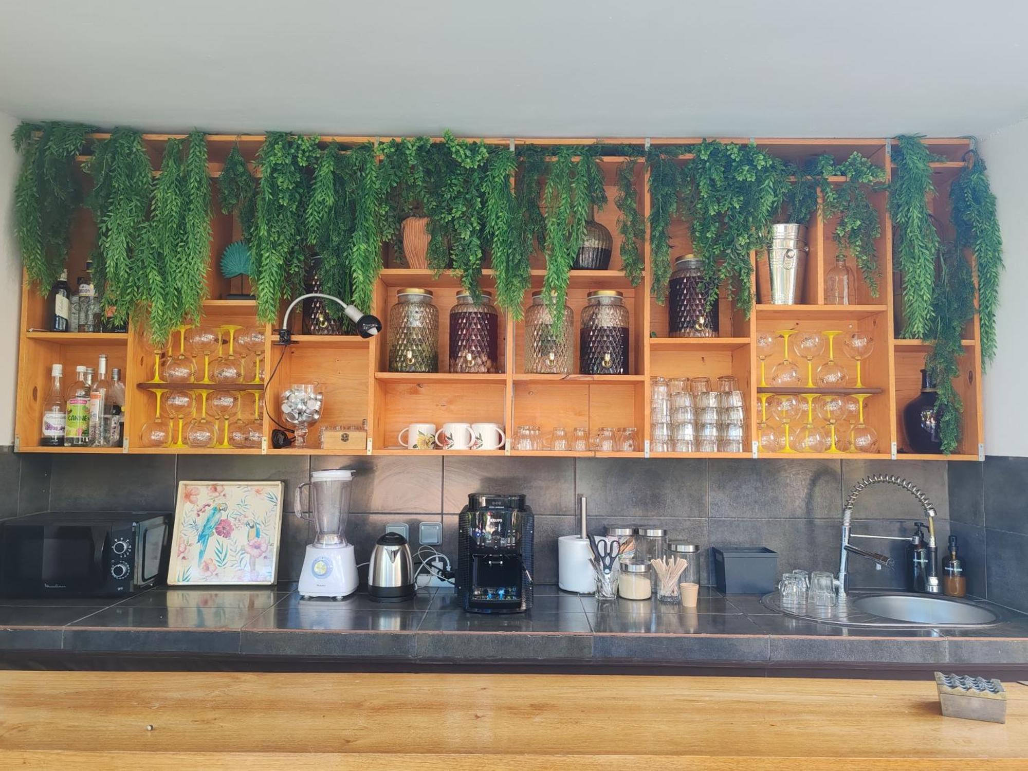 Coliver - Coliving A La Reunion Saint Pierre Ngoại thất bức ảnh